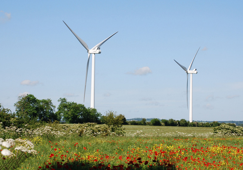 5ff7f32fcaffc.jpg 01.jpg