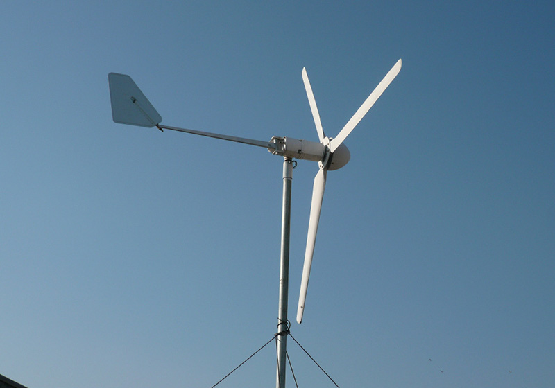 65648277748c8.jpg 01.jpg