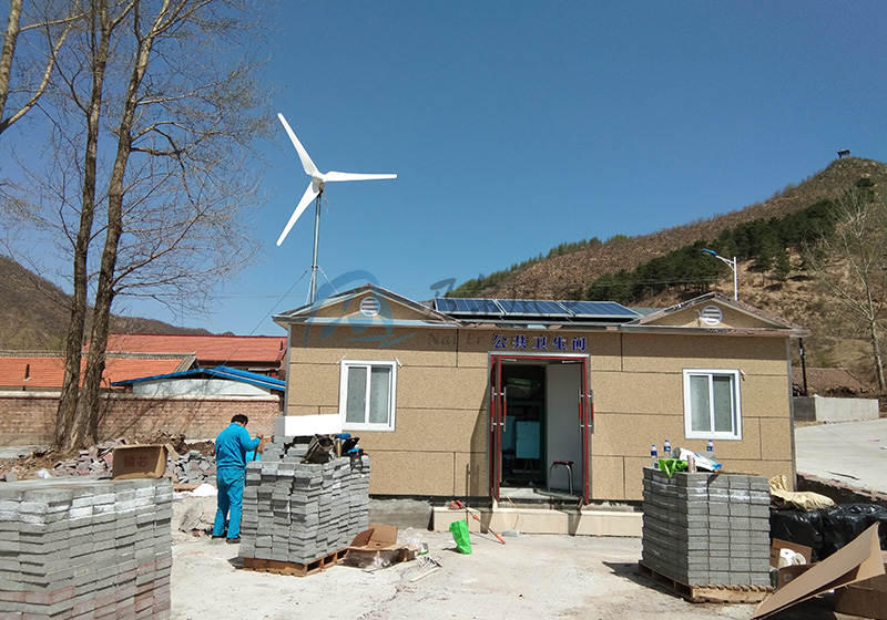 66c439d69ccfd.jpg 01.jpg